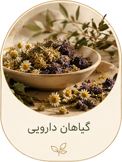 دسته-بندی-گیاهان-دارویی
