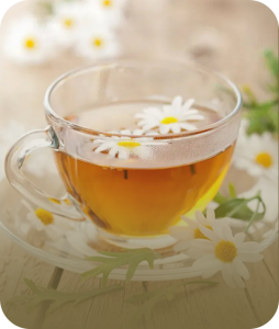خواص بابونه