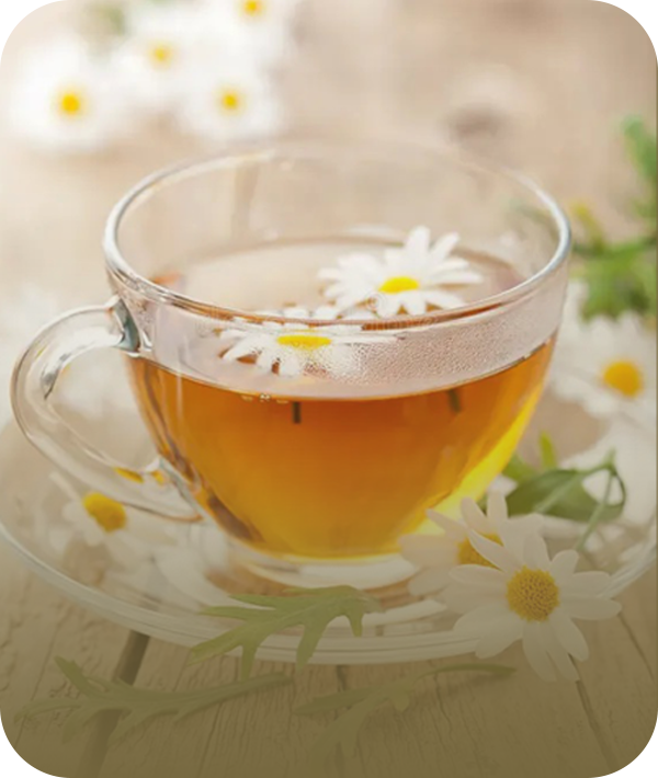 کاور-مجلات1 کاور-مجلات1