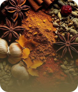 تشخیص ادویه اصل و فیک